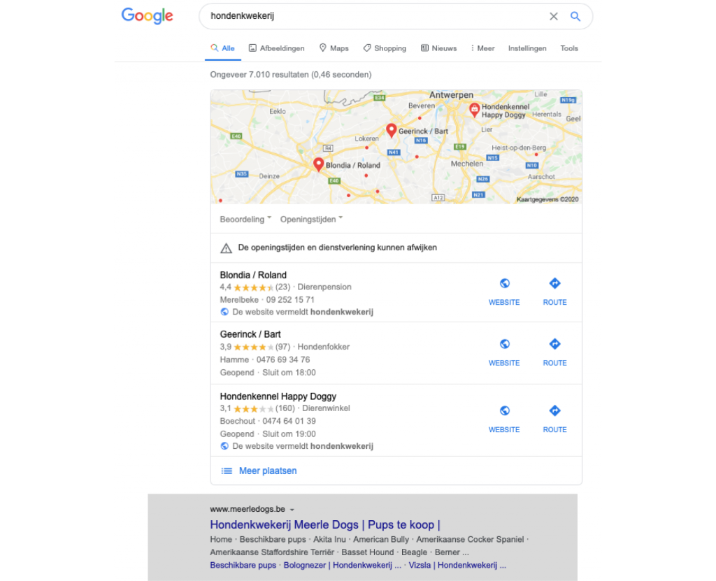 Google Optimalisatie